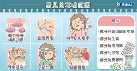 頭轉動耳朵有聲音|耳鳴10大常見原因！醫曝「恐是5種病」 超過3天別拖。